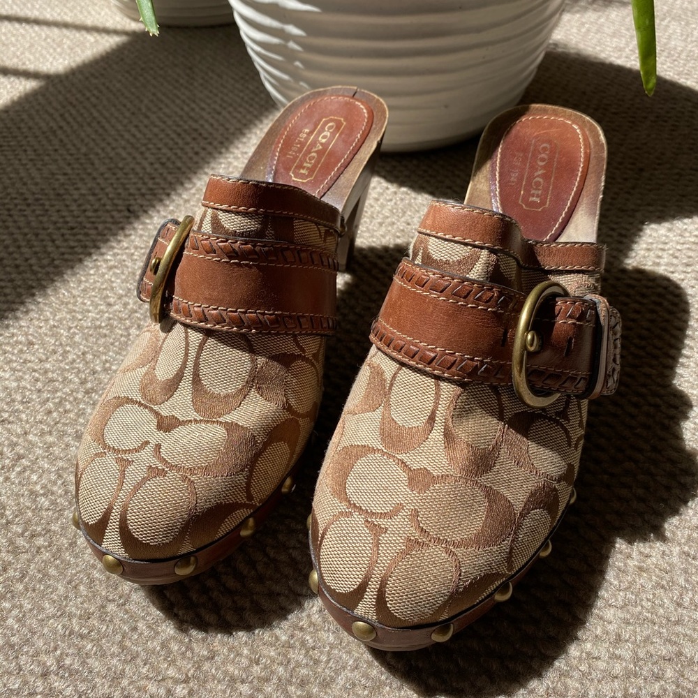 Coach Platform Mule